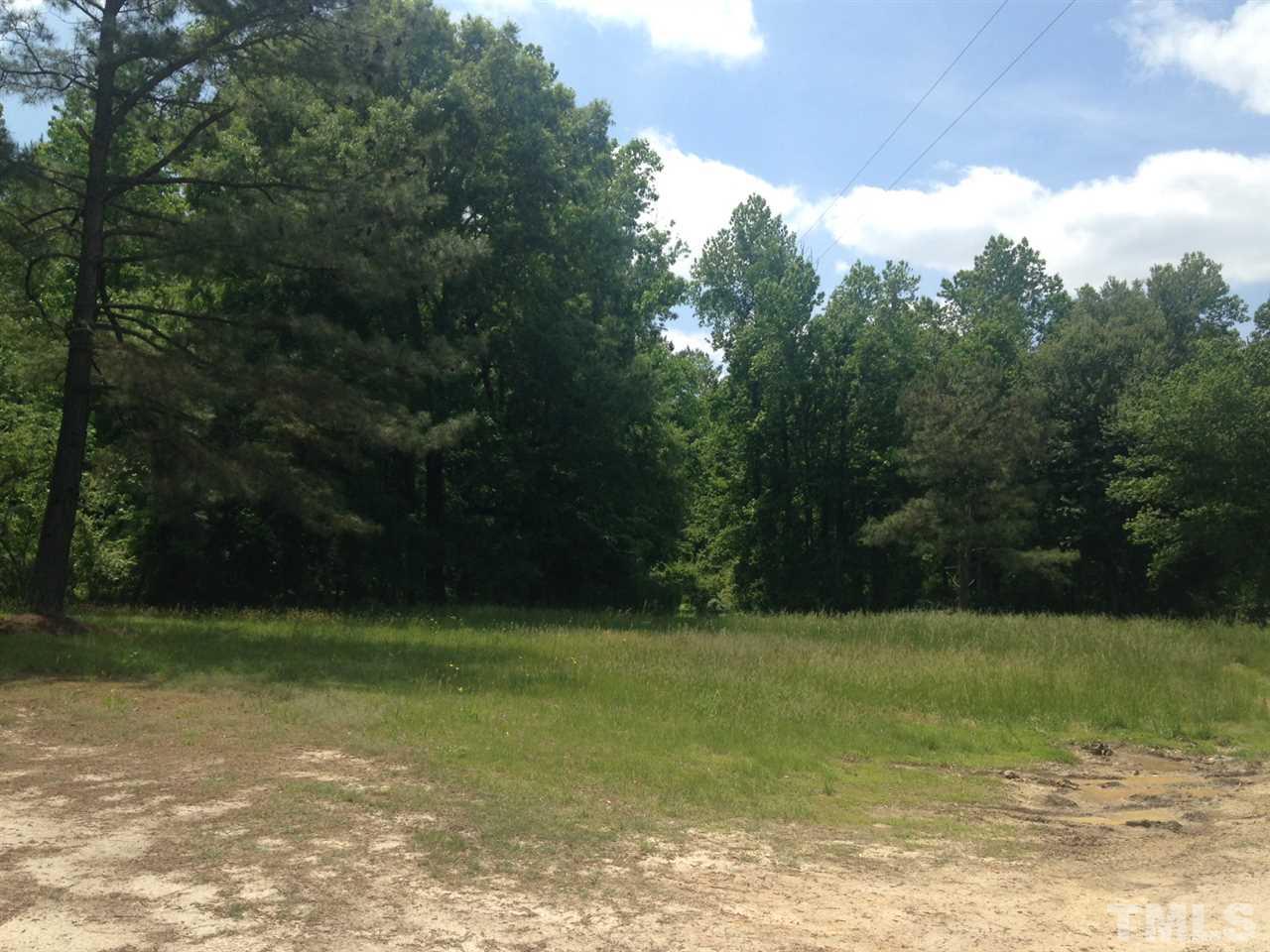 2124 Lizard Lick Road Zebulon, NC 27597 - Photo 3 of 9 a view of a field with a trees in the background