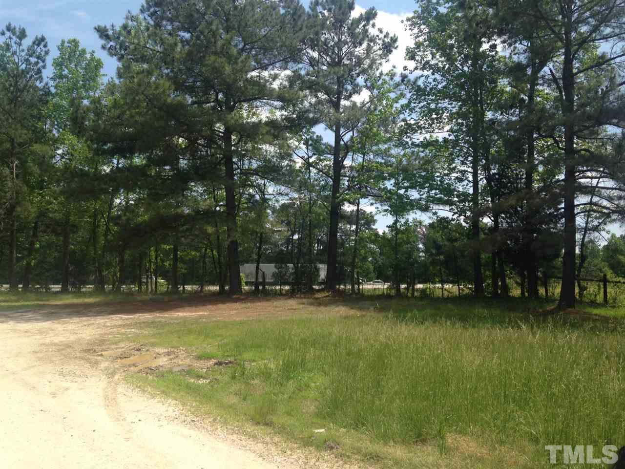 2124 Lizard Lick Road Zebulon, NC 27597 - Photo 4 of 9 a view of outdoor space with a garden and trees