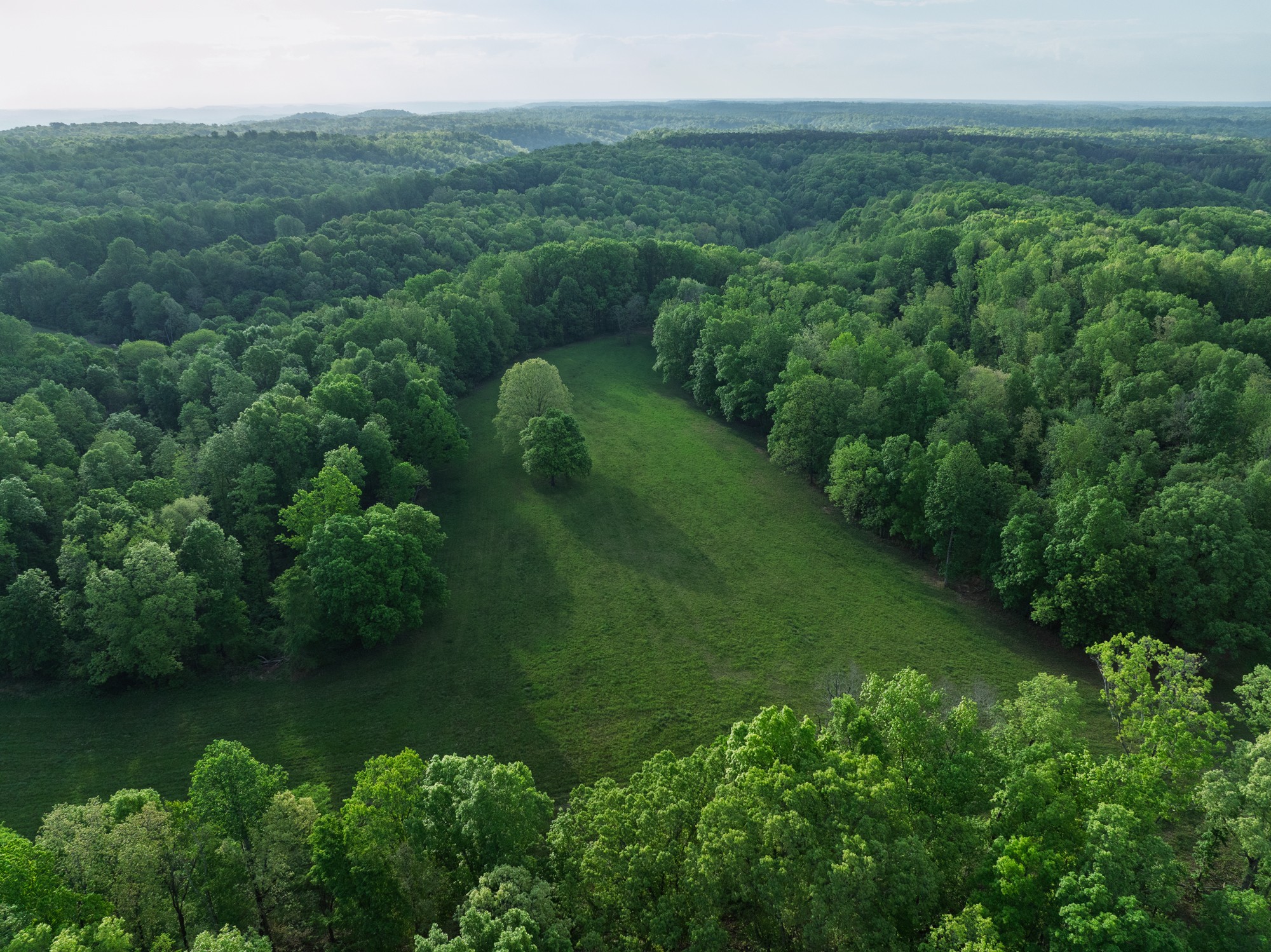 2073 Dog Branch Road Prospect, TN 38477 - Photo 58 of 59