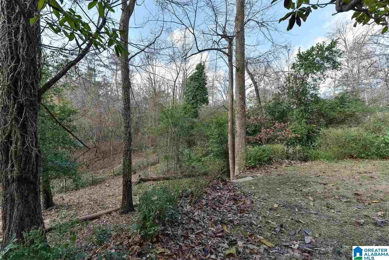 3709 Forest Run Road Birmingham, AL 35223 - Photo 5 of 49