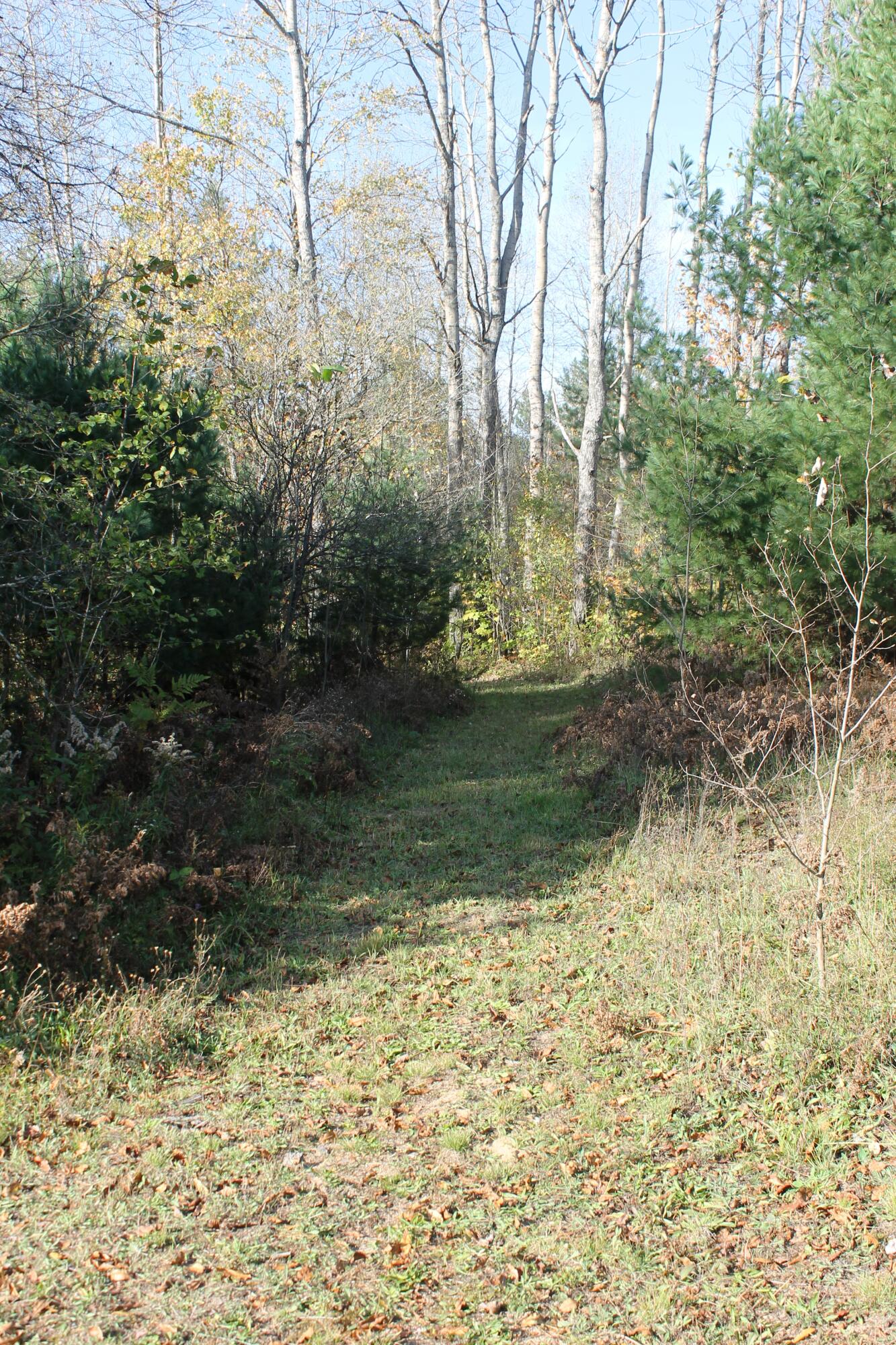 8126 North Petersen Road Frederic, MI 49733 - Photo 63 of 77 Gallery Image 63