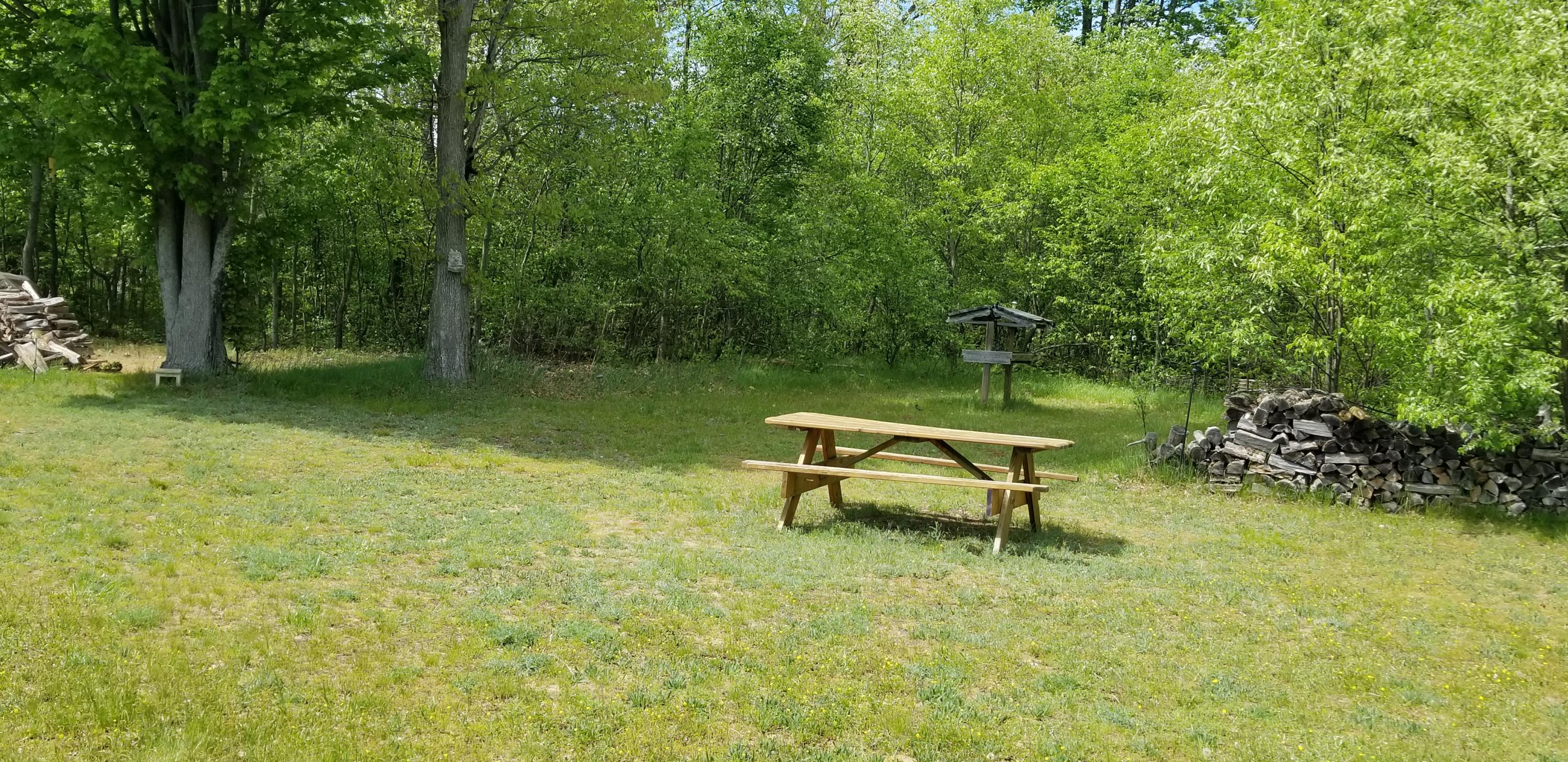 4876 School Road Roscommon, MI 48653 - Photo 4 of 15 Gallery Image 4