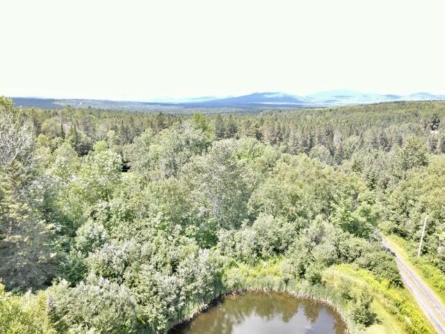 257 Greenville Road Shirley Mills, ME 04485 - Photo 3 of 38 61B0164E-78BB-4F50-9300-57B82B1CB61E
