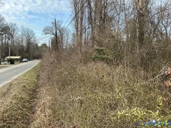 a view of a yard with trees