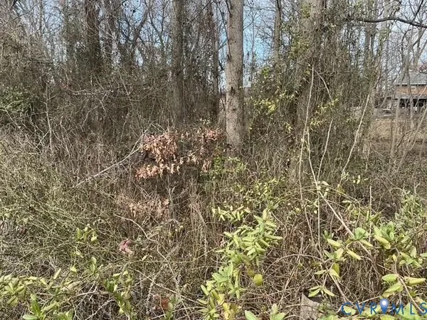 a close up of a plant