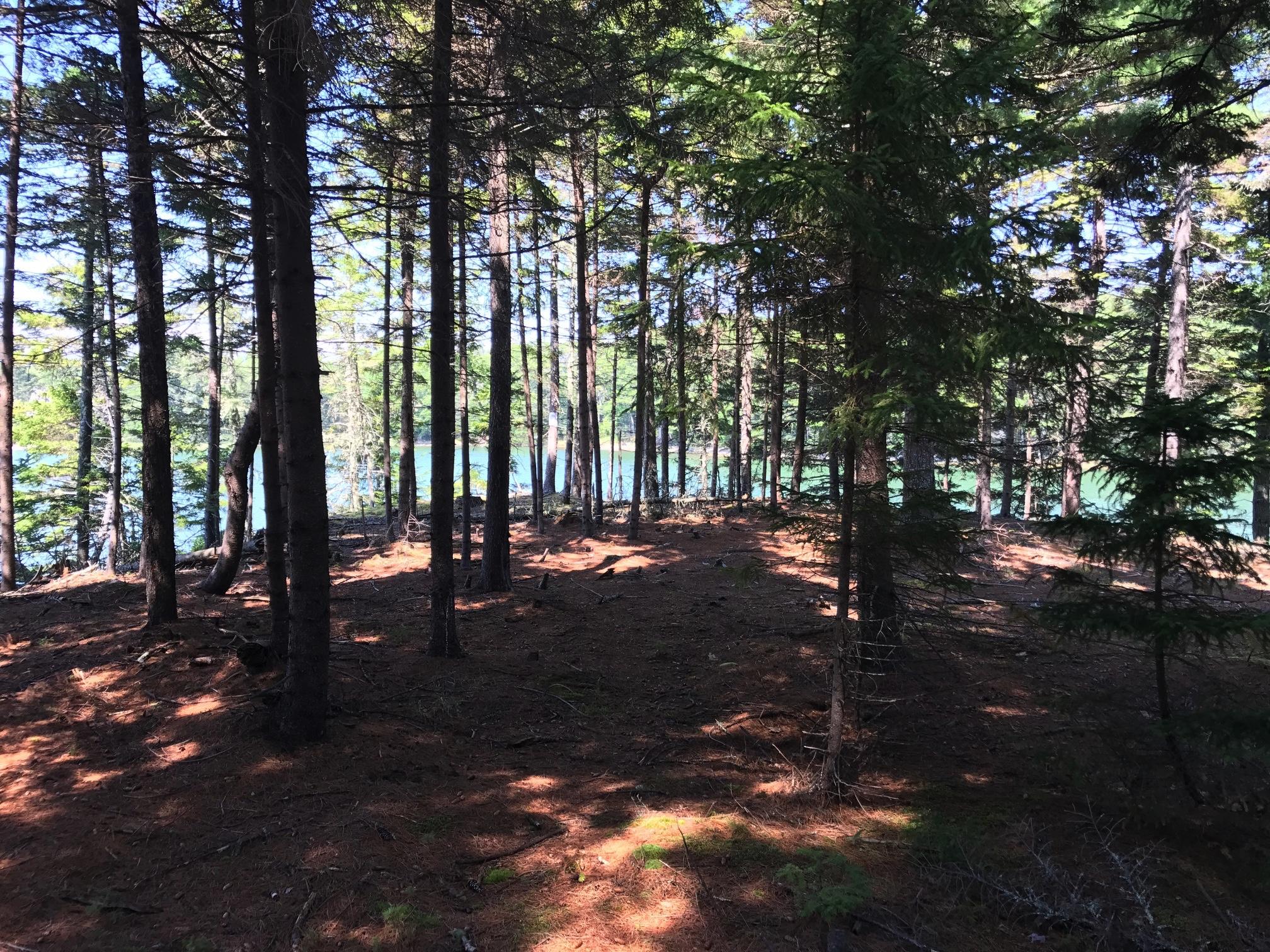 0 Drebelbis Point Road Pemaquid, ME 04558 - Photo 6 of 9 Image 8-9-17 at 3.17 PM (1)