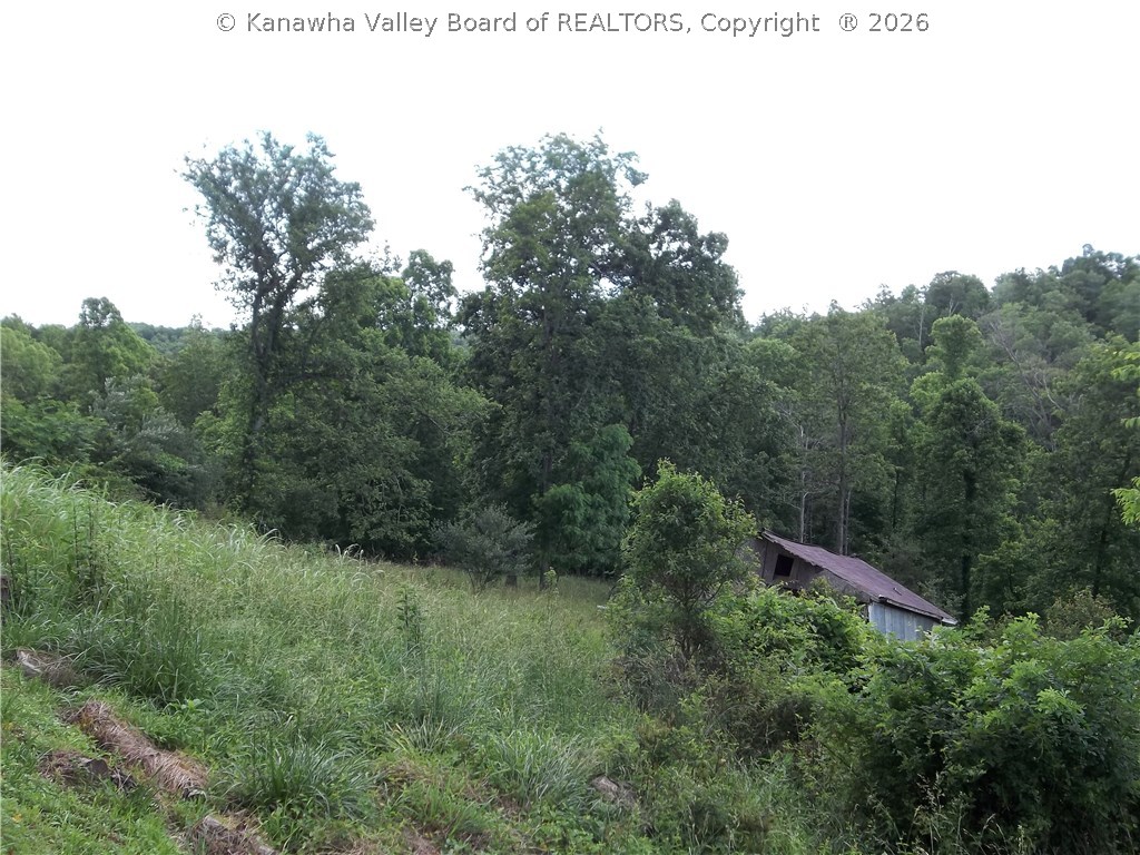 1374 Egypt Ridge Road Spencer, WV 25276 - Photo 6 of 9 Gallery Image 6