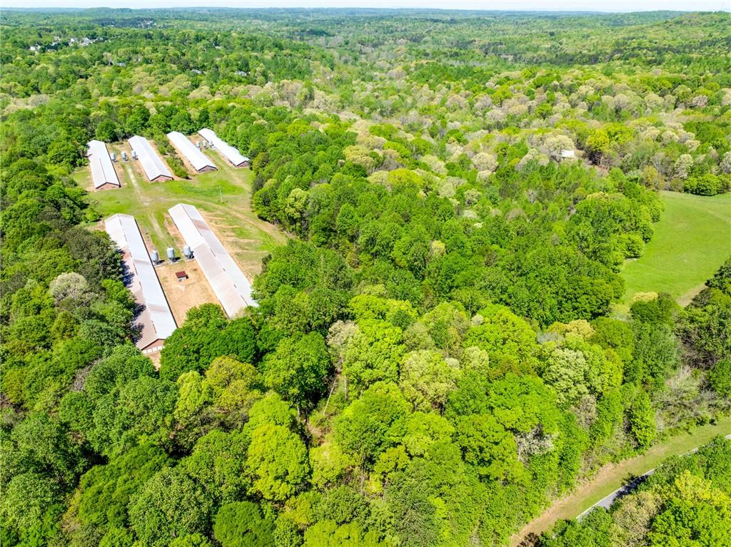622 Pocket Road Pendergrass, GA 30567 - Photo 6 of 25 an aerial view of residential houses with outdoor space and trees