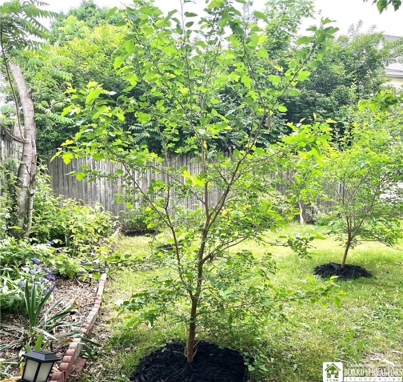 207 North Clinton Street Olean, NY 14760 - Photo 37 of 47