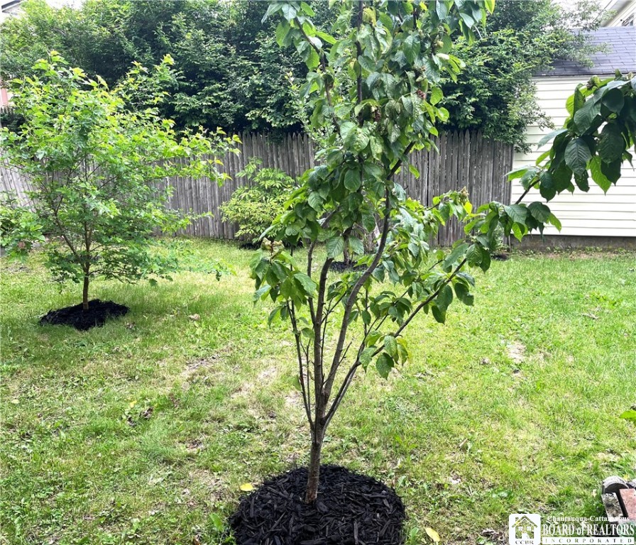 207 North Clinton Street Olean, NY 14760 - Photo 40 of 47