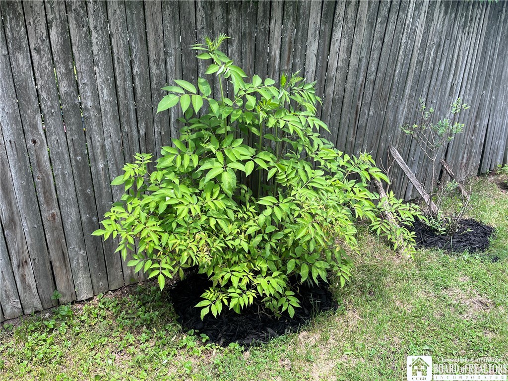 207 North Clinton Street Olean, NY 14760 - Photo 42 of 47