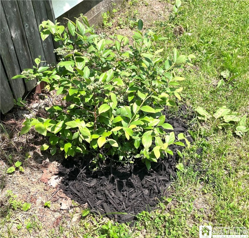 207 North Clinton Street Olean, NY 14760 - Photo 43 of 47