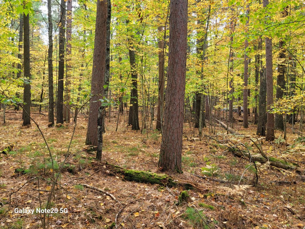 Lot #90 Eagle Pines Road Eagle River, WI 54521 - Photo 5 of 20 Gallery Image 5