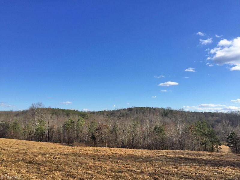 Lot 11 Martin Ridge Trail Pinnacle, NC 27043 - Photo 2 of 24