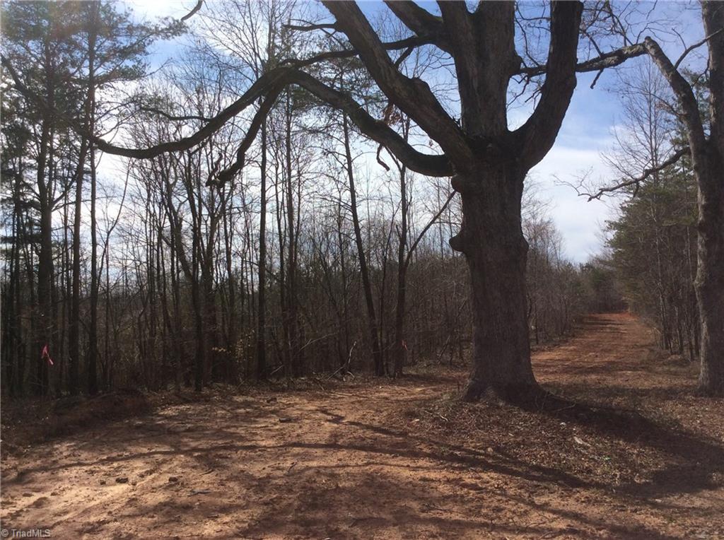 Lot 11 Martin Ridge Trail Pinnacle, NC 27043 - Photo 13 of 24