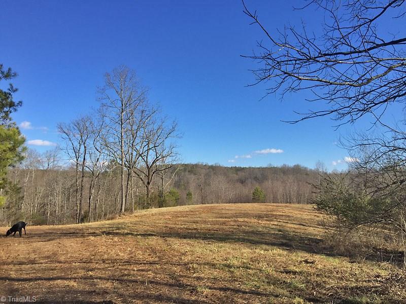 Lot 11 Martin Ridge Trail Pinnacle, NC 27043 - Photo 6 of 24