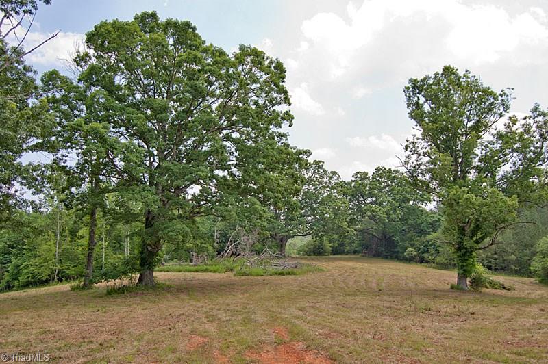 Lot 11 Martin Ridge Trail Pinnacle, NC 27043 - Photo 8 of 24
