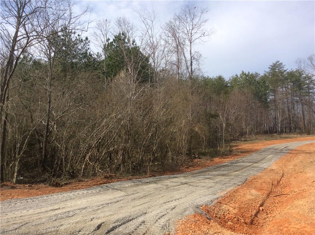 Lot 11 Martin Ridge Trail Pinnacle, NC 27043 - Photo 9 of 24