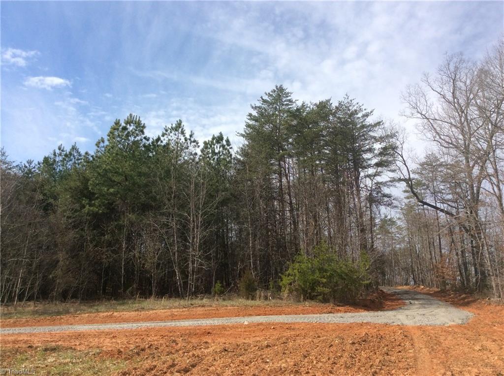 Lot 11 Martin Ridge Trail Pinnacle, NC 27043 - Photo 10 of 24