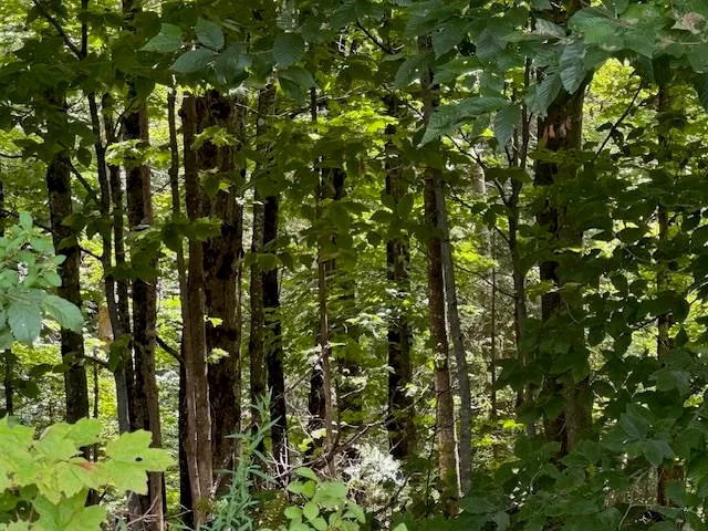 $82,000 | 14 Route Albany Vt 05820, Albany, VT 05820