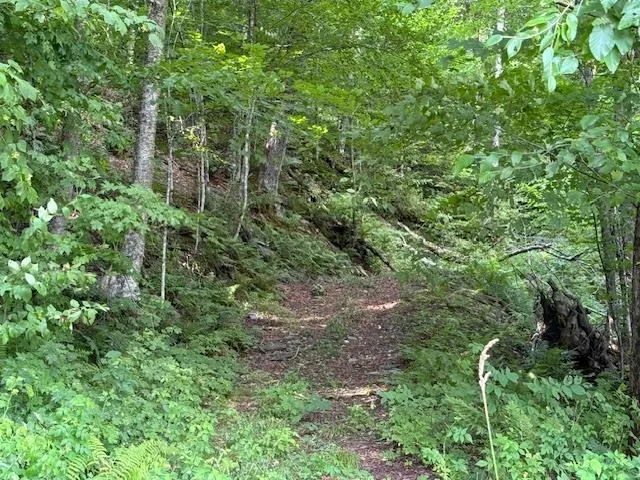 $82,000 | 14 Route Albany Vt 05820, Albany, VT 05820