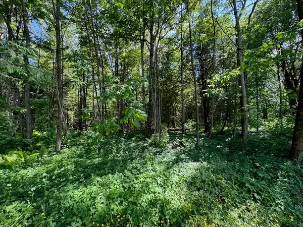 $82,000 | 14 Vt Route, Albany, VT 05820