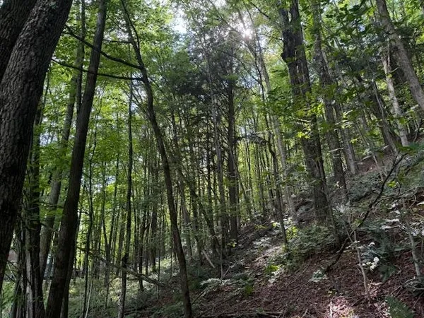 $82,000 | 14 Vt Route, Albany, VT 05820