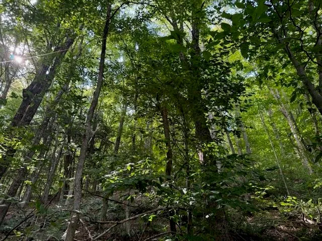 $82,000 | 14 Route Albany Vt 05820, Albany, VT 05820