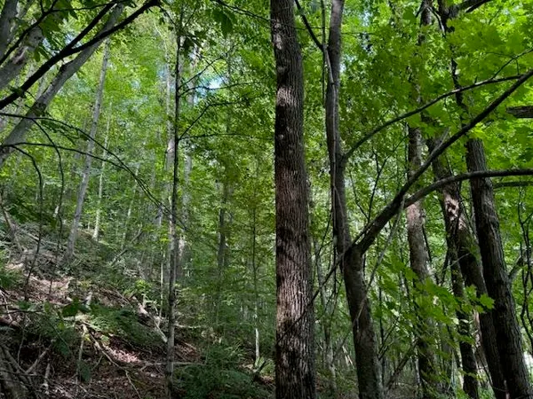 $82,000 | 14 Vt Route, Albany, VT 05820