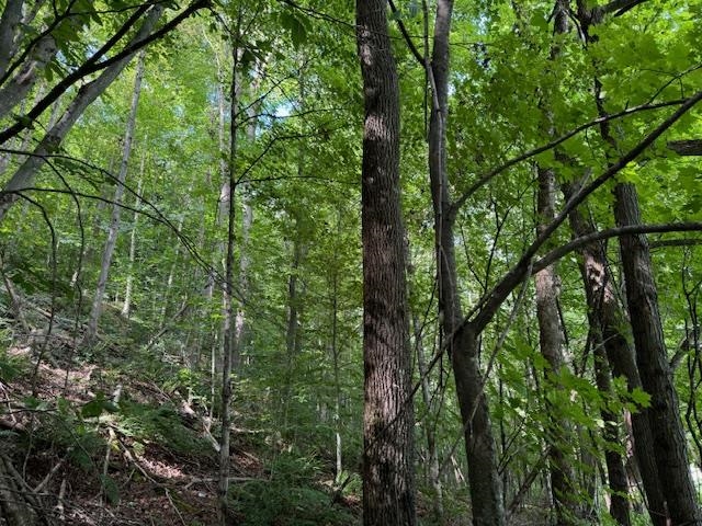 14 Vt Route Albany, VT 05820 - Photo 6 of 7