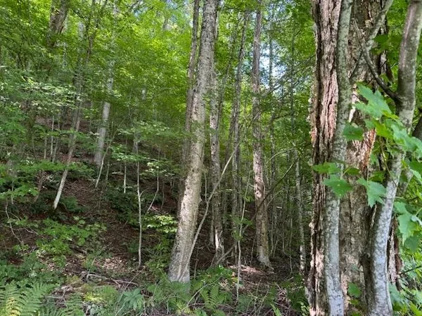 $82,000 | 14 Vt Route, Albany, VT 05820