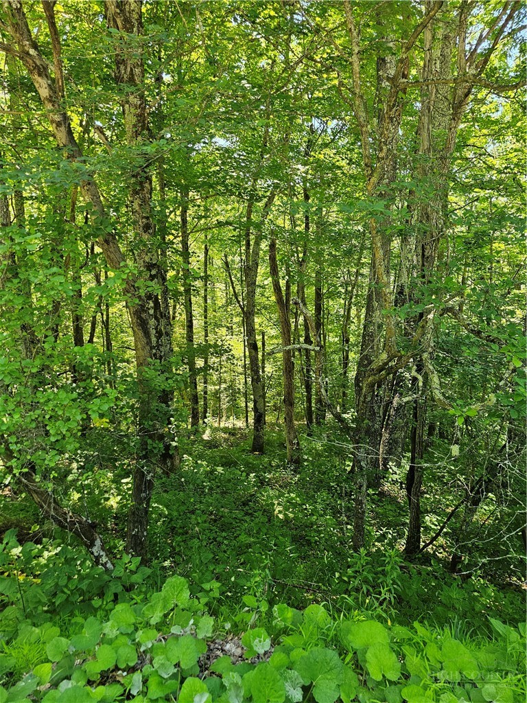 Silverleaf Road Zionville, NC 28698 - Photo 22 of 25