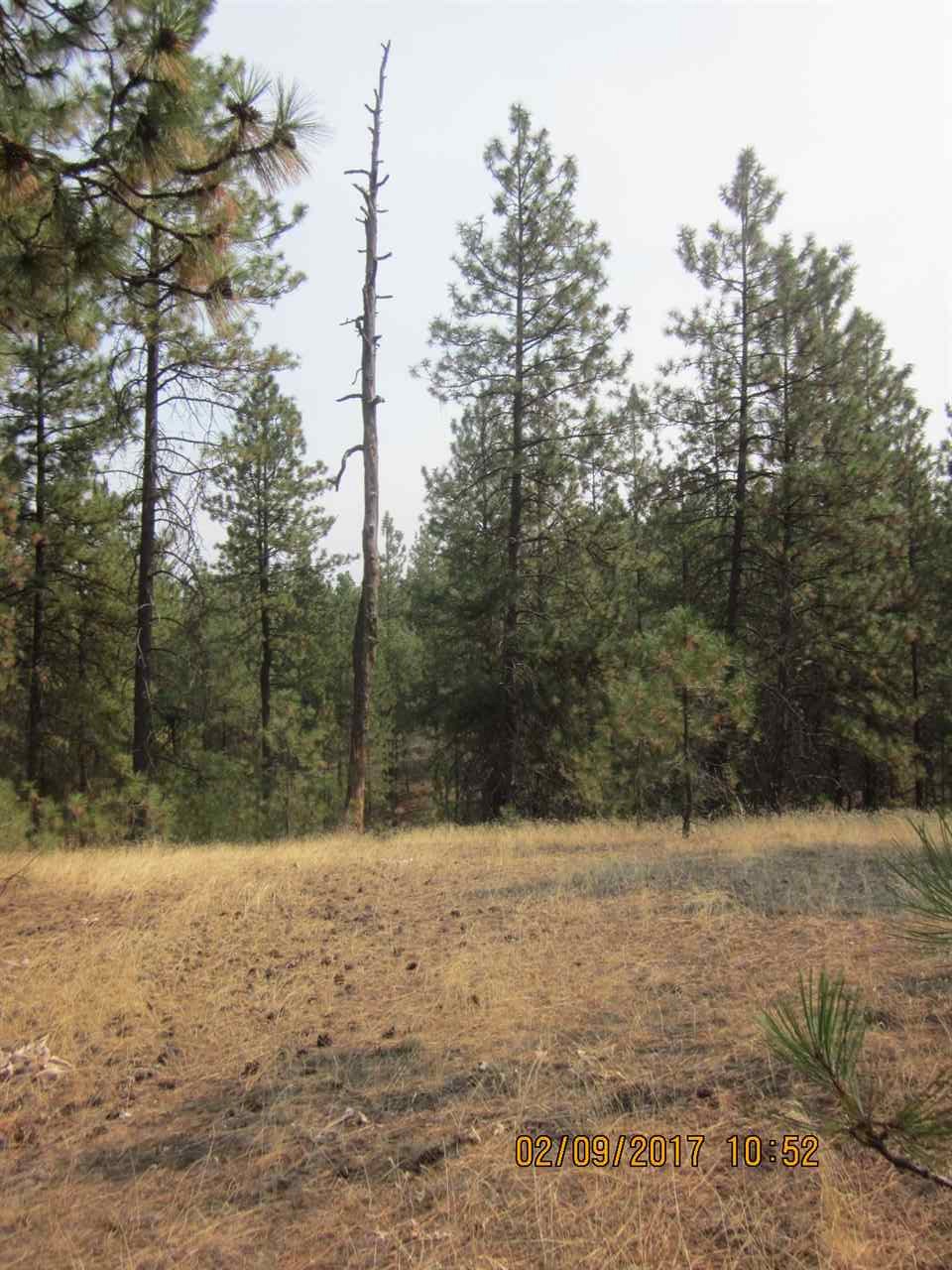 6257 South Dorset Road Spokane, WA 99224 - Photo 1 of 20