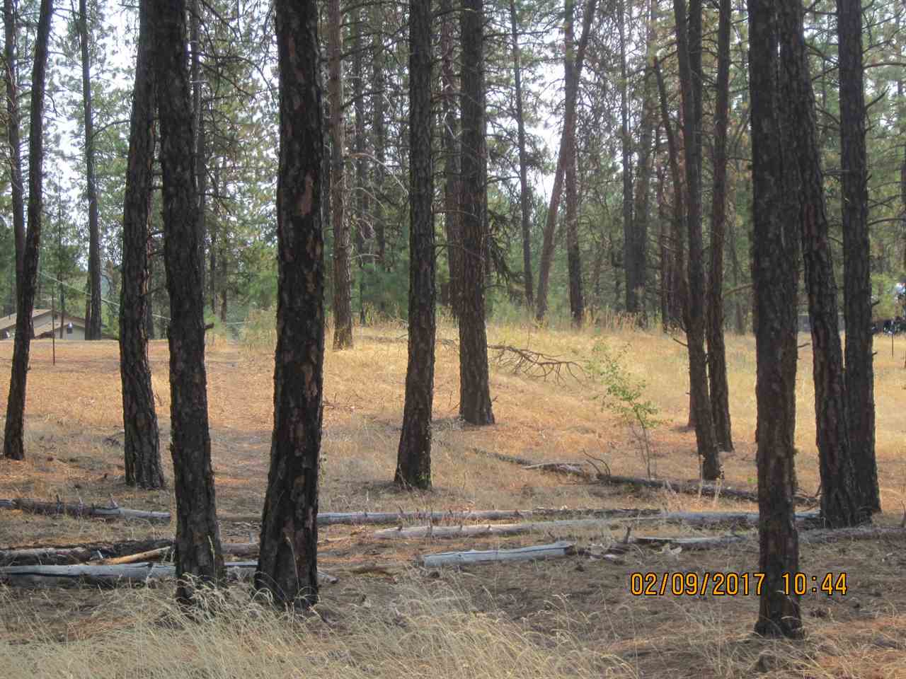 6257 South Dorset Road Spokane, WA 99224 - Photo 2 of 20
