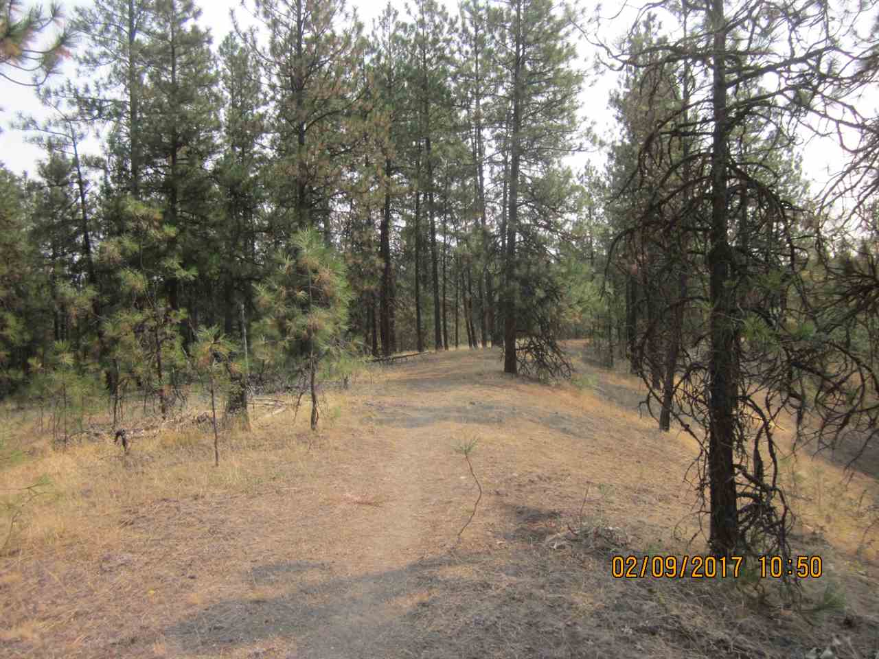 6257 South Dorset Road Spokane, WA 99224 - Photo 11 of 20
