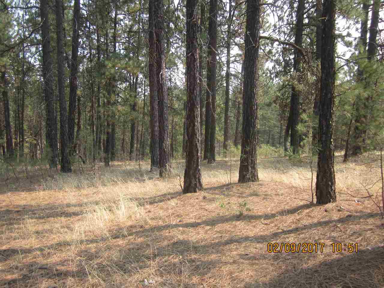 6257 South Dorset Road Spokane, WA 99224 - Photo 12 of 20