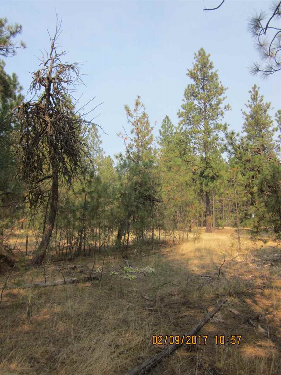 6257 South Dorset Road Spokane, WA 99224 - Photo 14 of 20