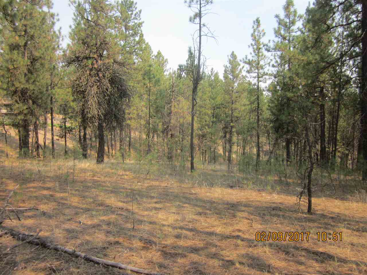 6257 South Dorset Road Spokane, WA 99224 - Photo 15 of 20