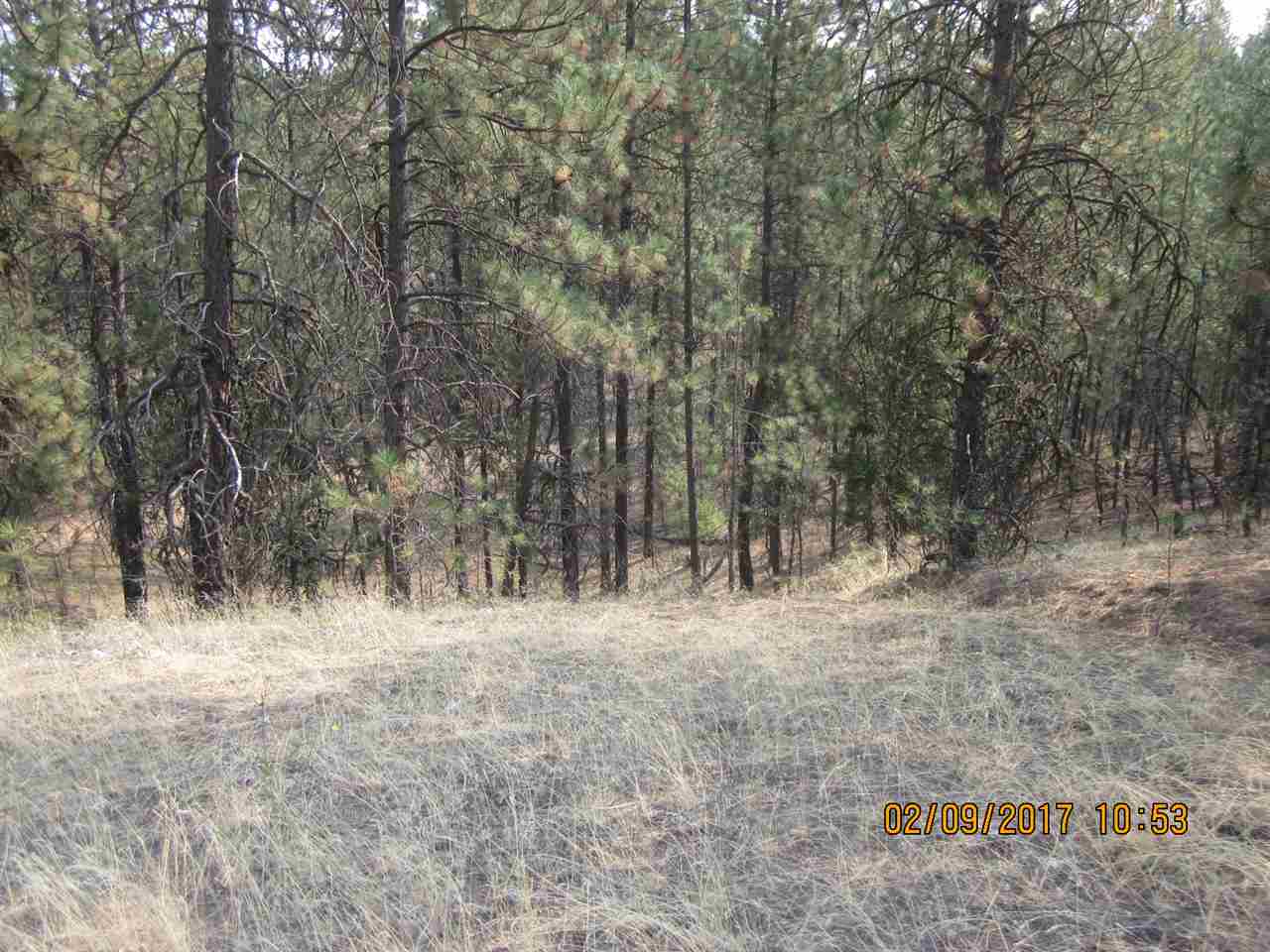 6257 South Dorset Road Spokane, WA 99224 - Photo 16 of 20