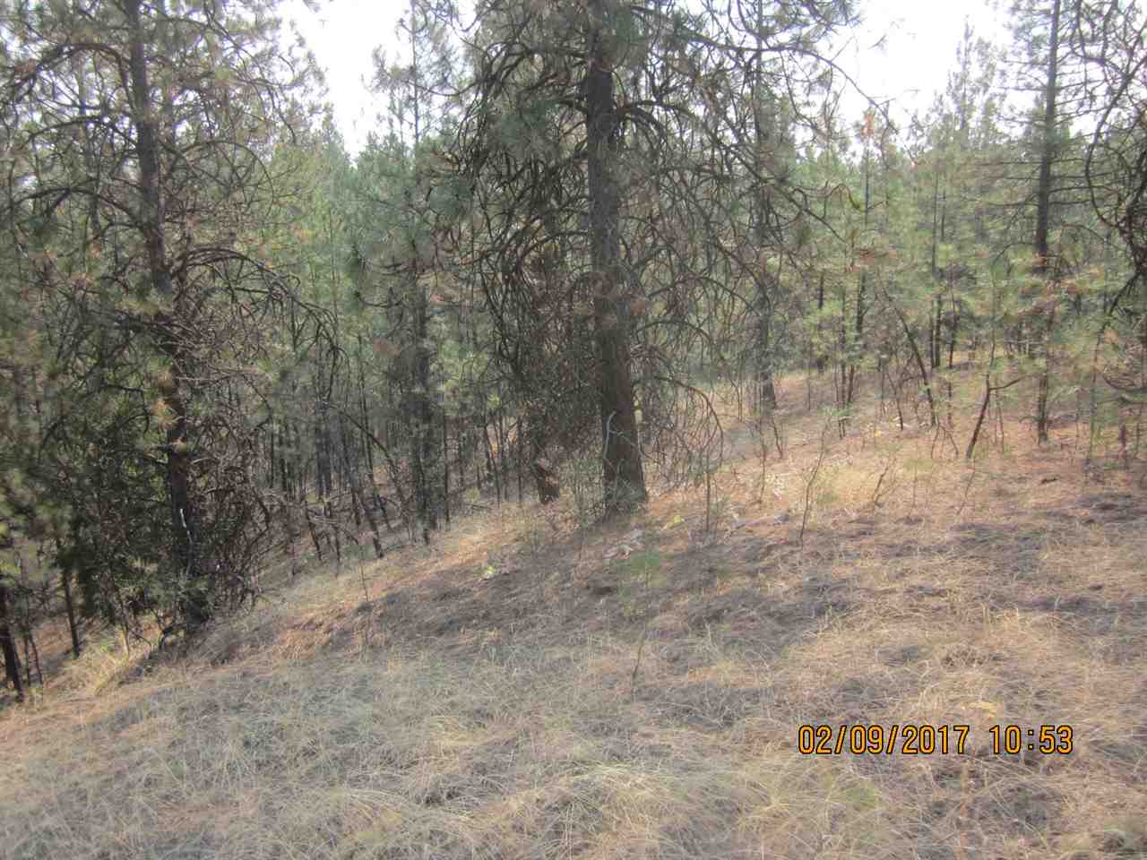 6257 South Dorset Road Spokane, WA 99224 - Photo 17 of 20