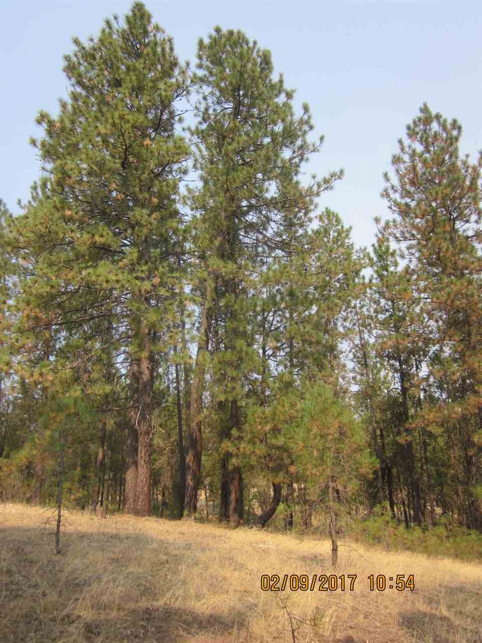 6257 South Dorset Road Spokane, WA 99224 - Photo 18 of 20