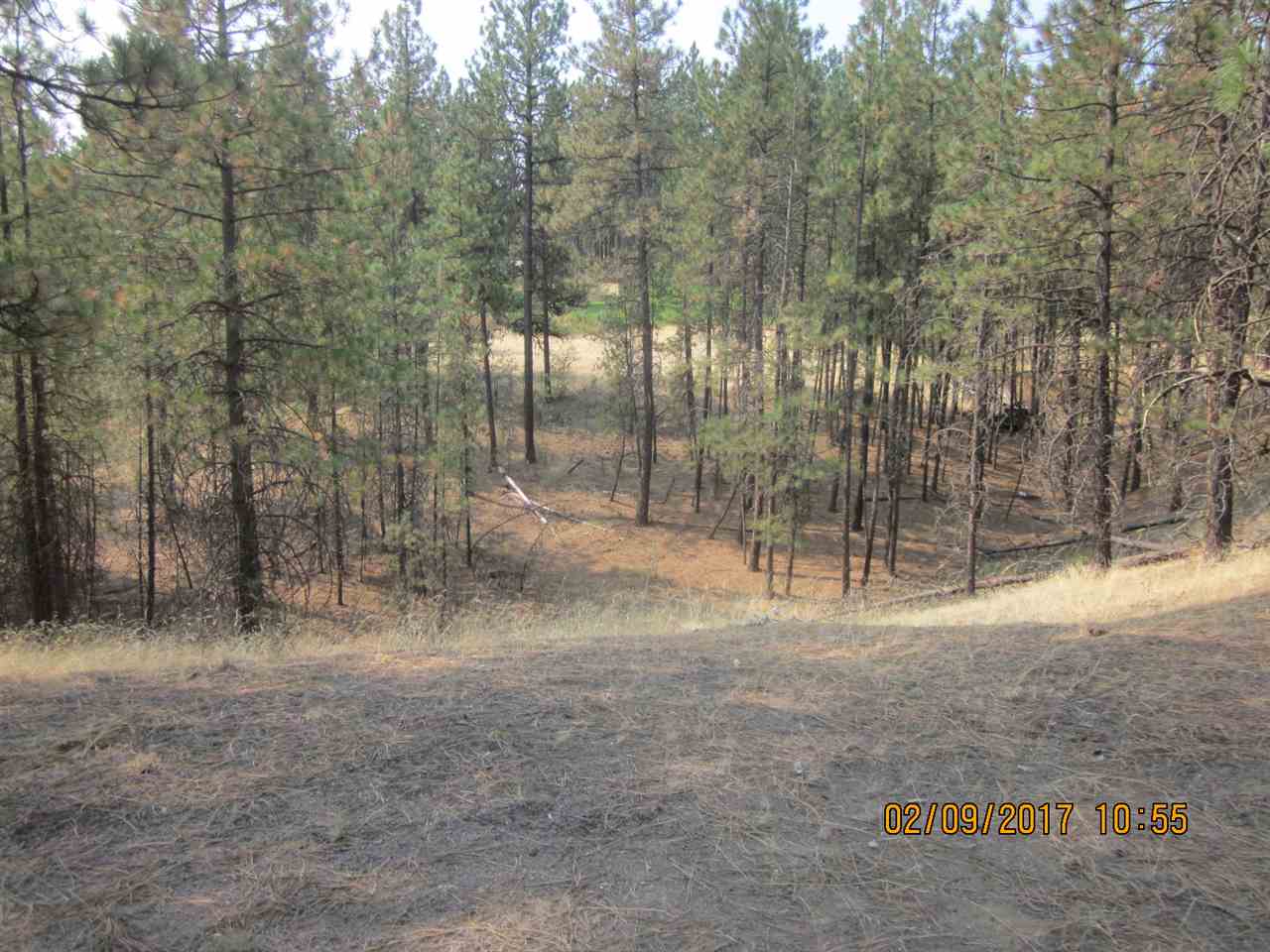 6257 South Dorset Road Spokane, WA 99224 - Photo 19 of 20