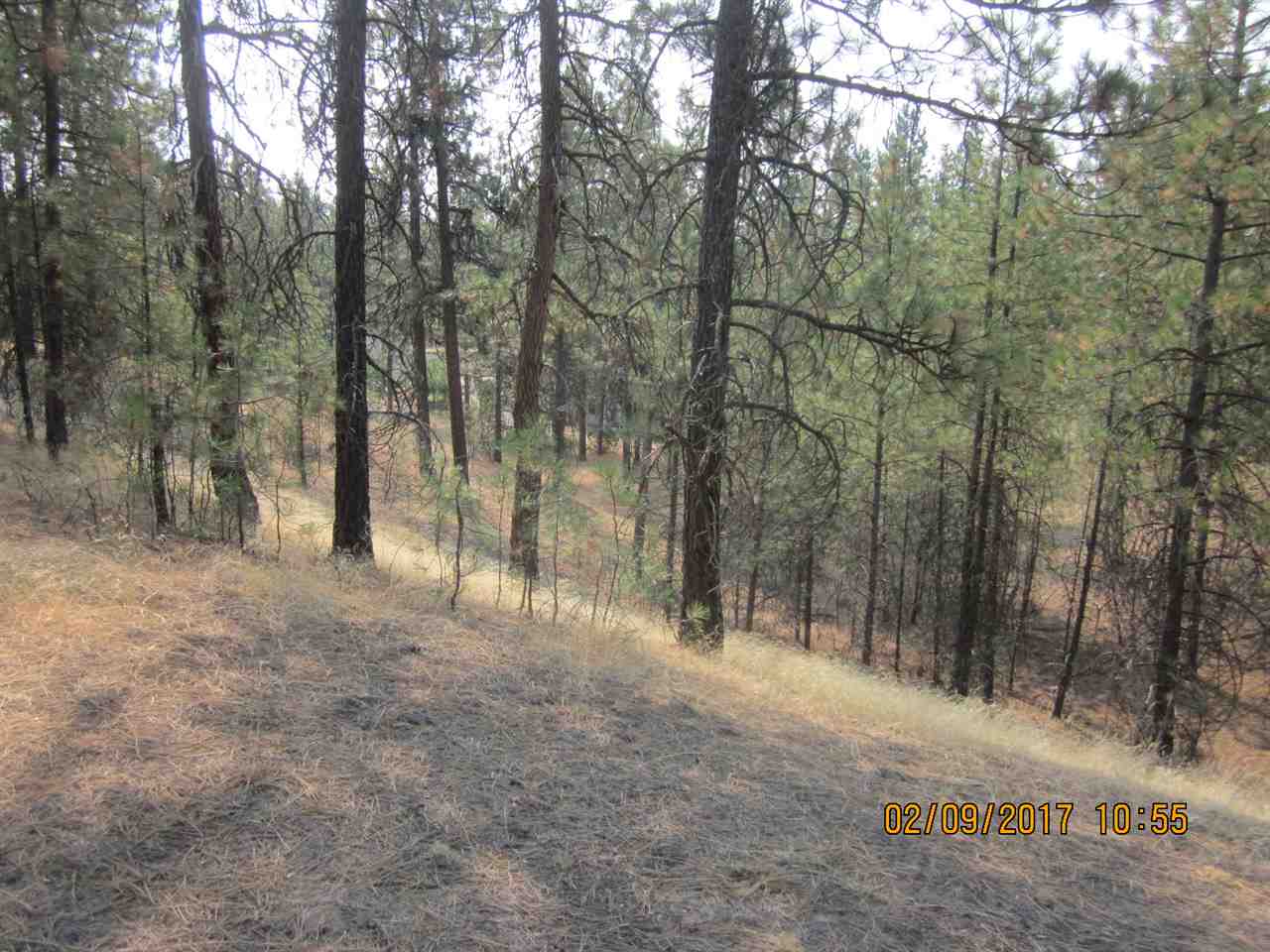 6257 South Dorset Road Spokane, WA 99224 - Photo 20 of 20