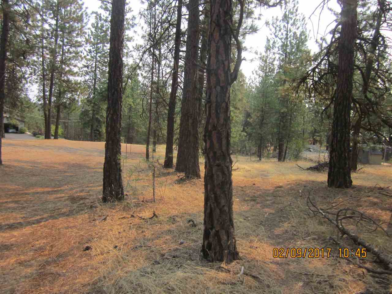 6257 South Dorset Road Spokane, WA 99224 - Photo 3 of 20