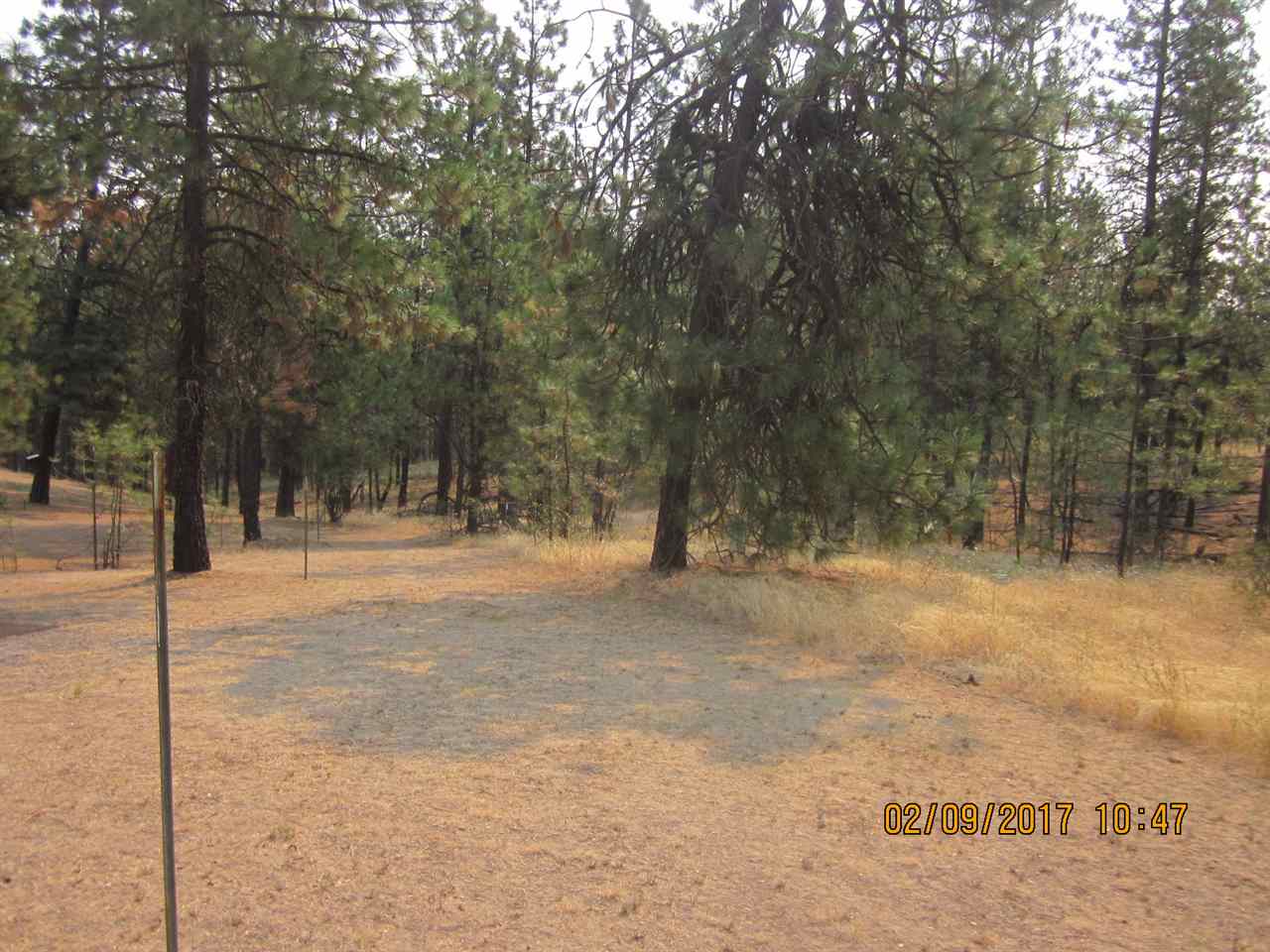 6257 South Dorset Road Spokane, WA 99224 - Photo 4 of 20
