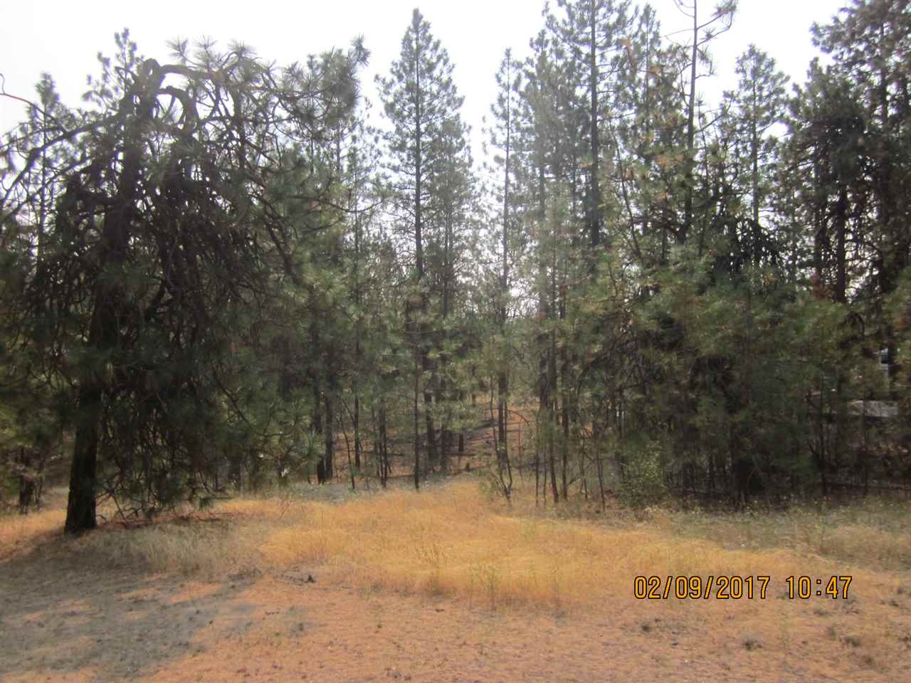 6257 South Dorset Road Spokane, WA 99224 - Photo 6 of 20