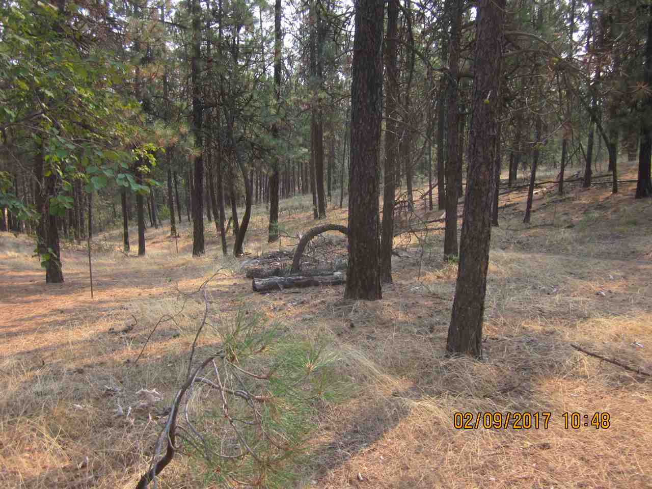 6257 South Dorset Road Spokane, WA 99224 - Photo 8 of 20