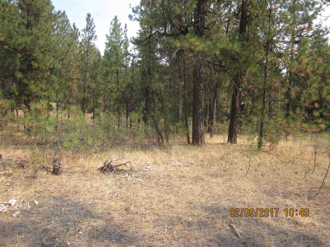 6257 South Dorset Road Spokane, WA 99224 - Photo 10 of 20