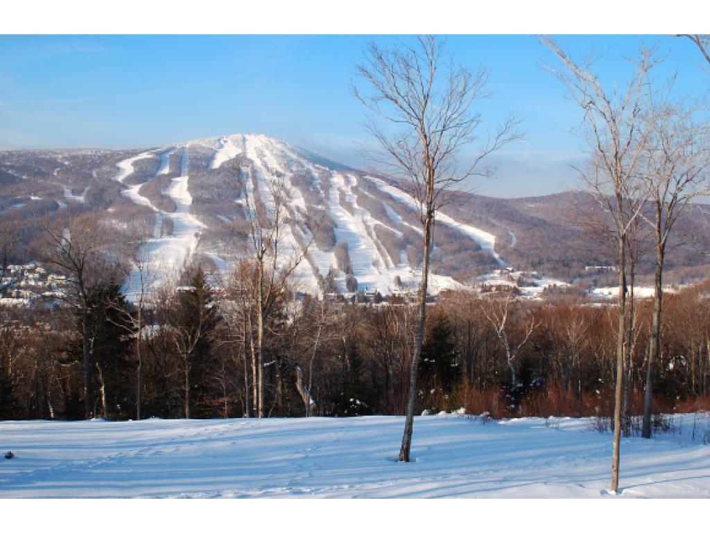 53 B Greenspring Road, Unit 53 West Dover, VT 05356 - Photo 21 of 22 Gallery Image 21