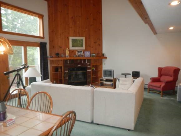 53 B Greenspring Road, Unit 53 West Dover, VT 05356 - Photo 4 of 22 Gallery Image 4